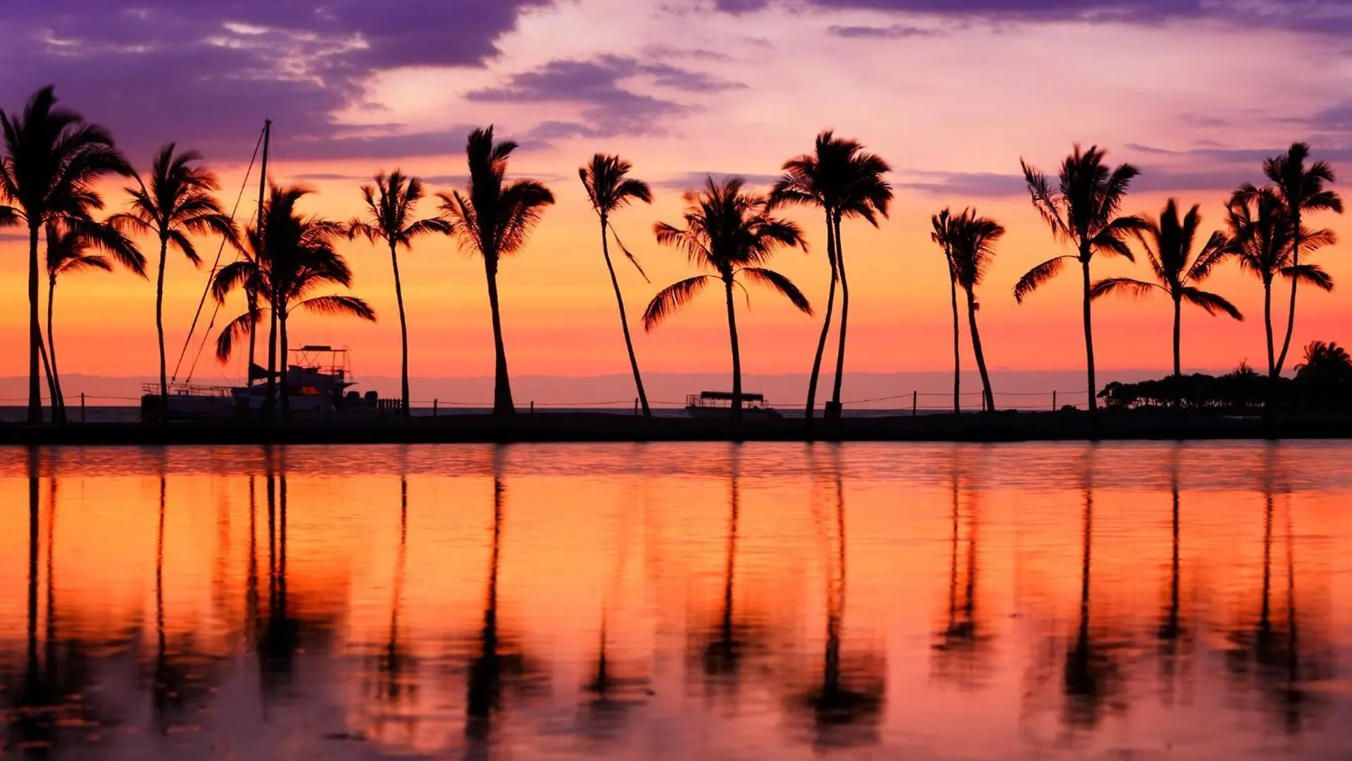 1Br With Great City Views, 3 Mins To Waikiki Beach! Honolulu 0*,